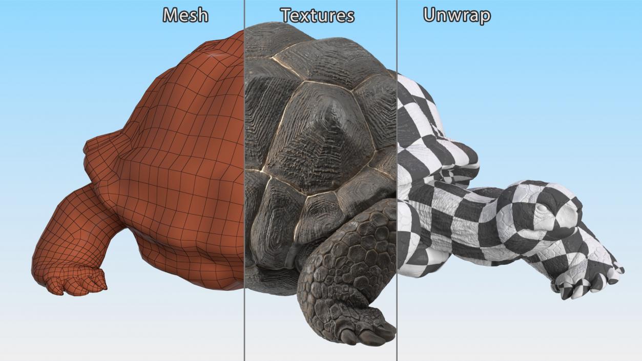 3D Giant Turtle Lying Down Pose model