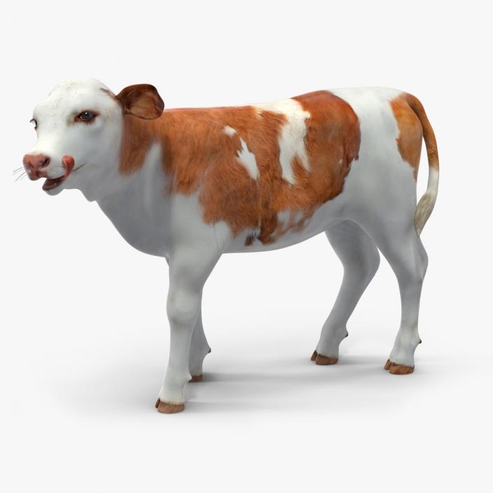 Cow Calf Rigged for Cinema 4D 3D model