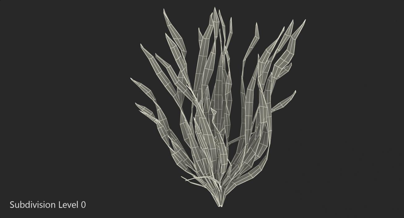 3D Eel Aquarium Grass model