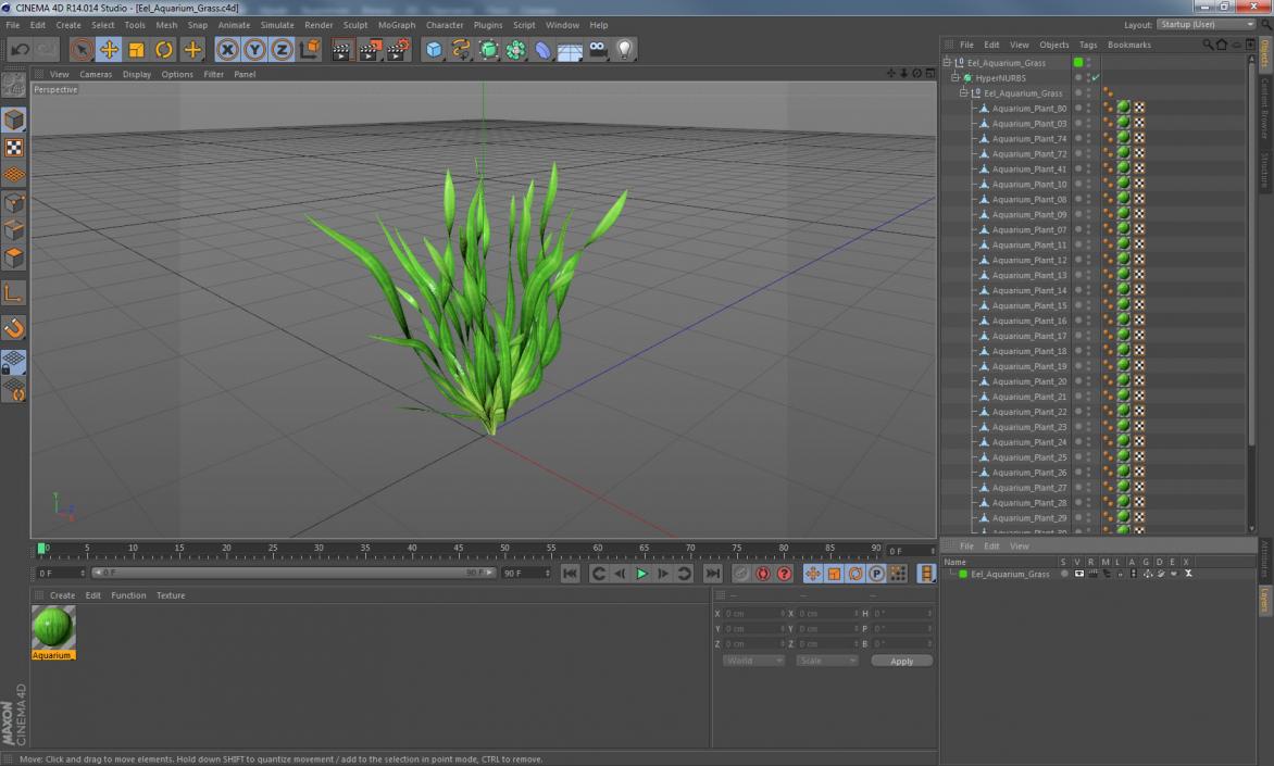 3D Eel Aquarium Grass model