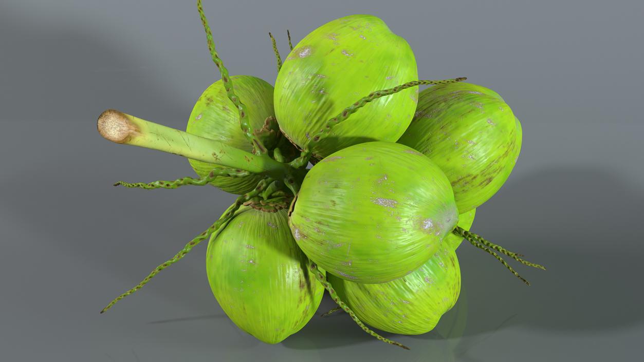 3D Green Coconut Cluster