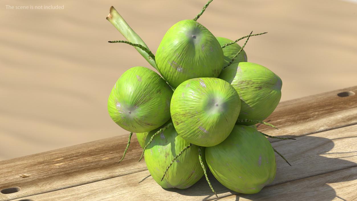 3D Green Coconut Cluster