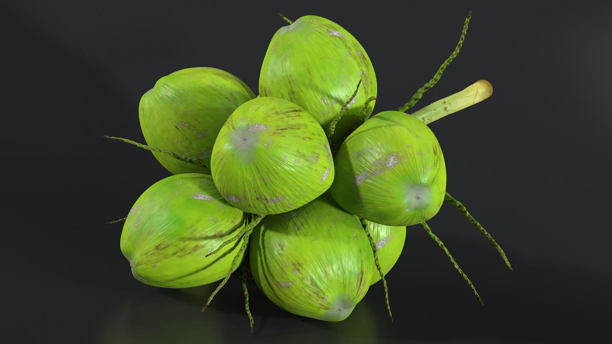 3D Green Coconut Cluster