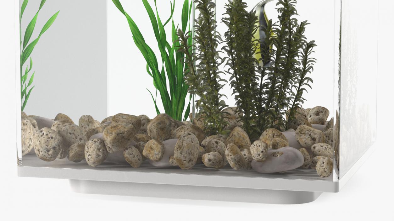 3D model Fish Tank White Cube