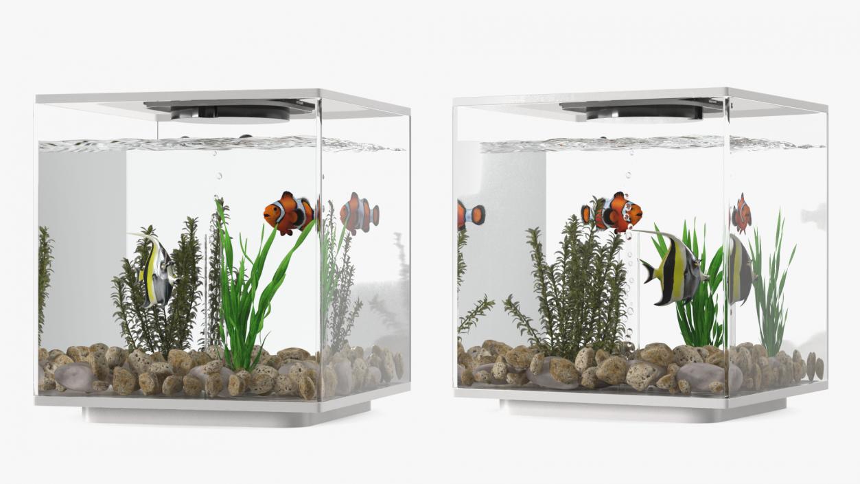 3D model Fish Tank White Cube