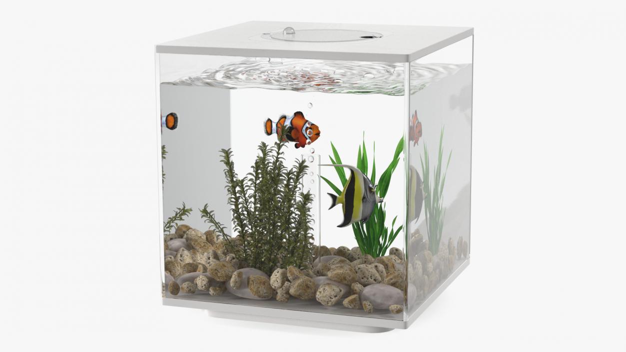 3D model Fish Tank White Cube