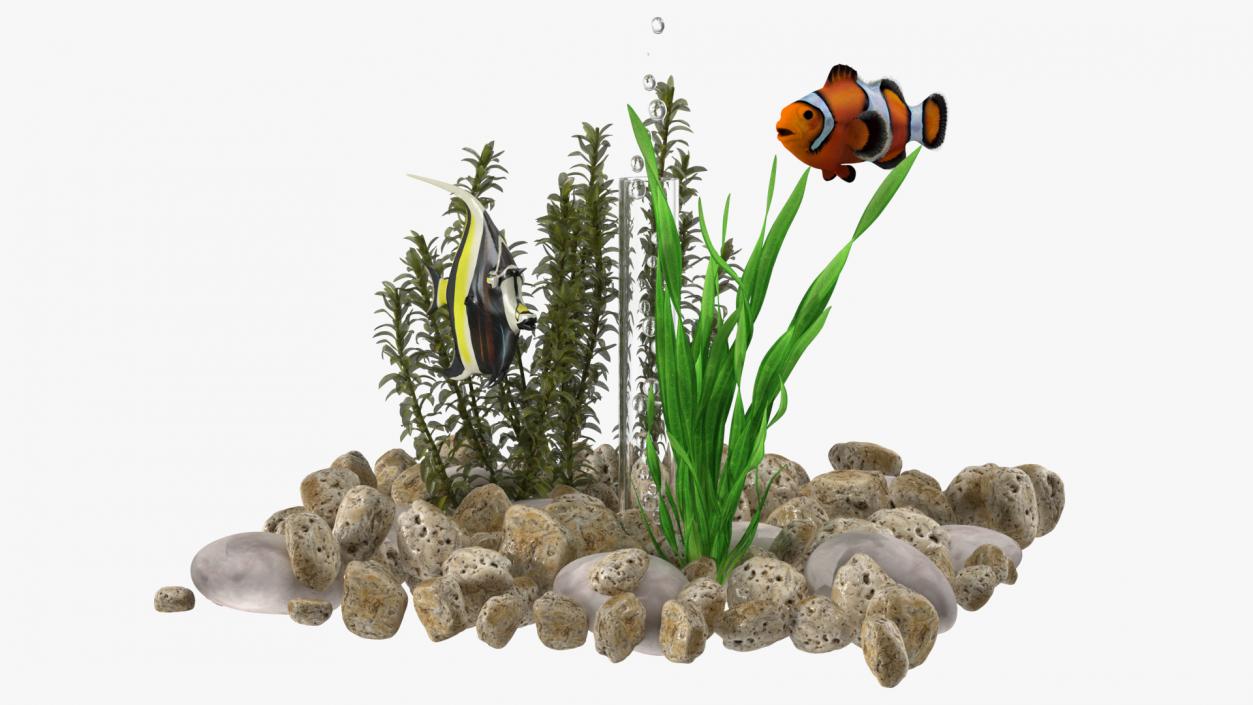 3D model Fish Tank White Cube