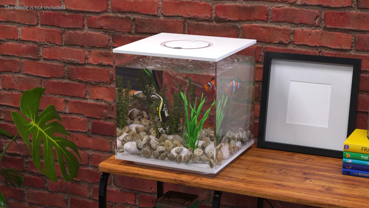 3D model Fish Tank White Cube