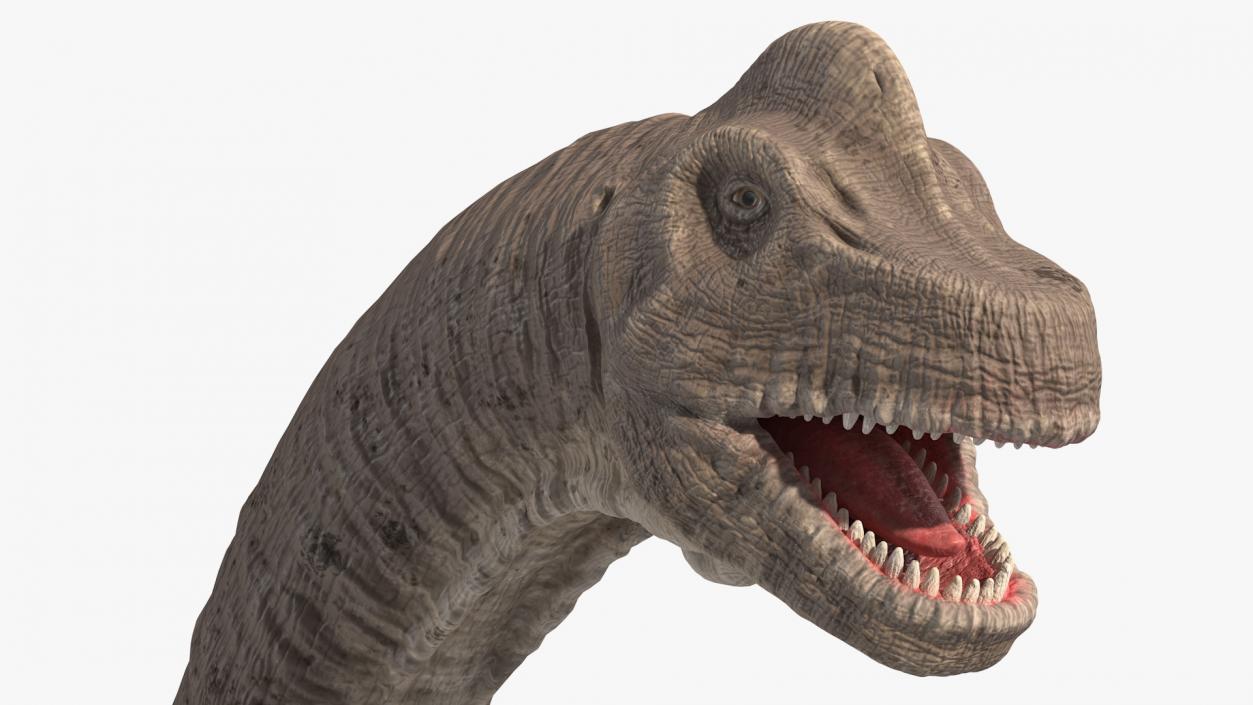 Rigged Herbivorous Dinosaurs Collection 3D model