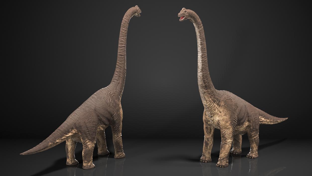 Rigged Herbivorous Dinosaurs Collection 3D model