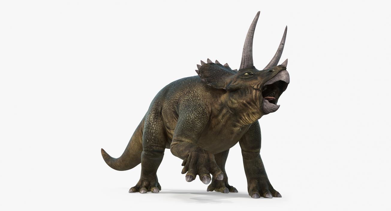 Rigged Herbivorous Dinosaurs Collection 3D model