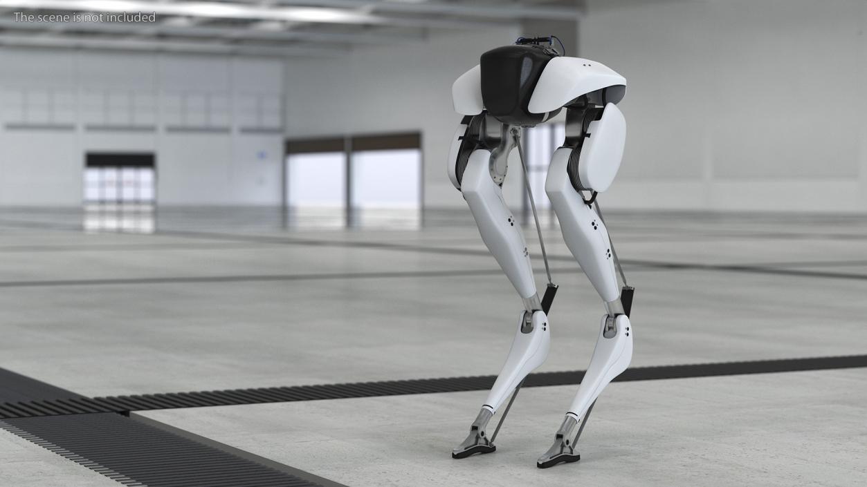 3D Bipedal Robot Grey model