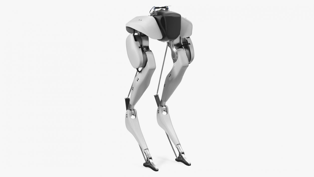 3D Bipedal Robot Grey model