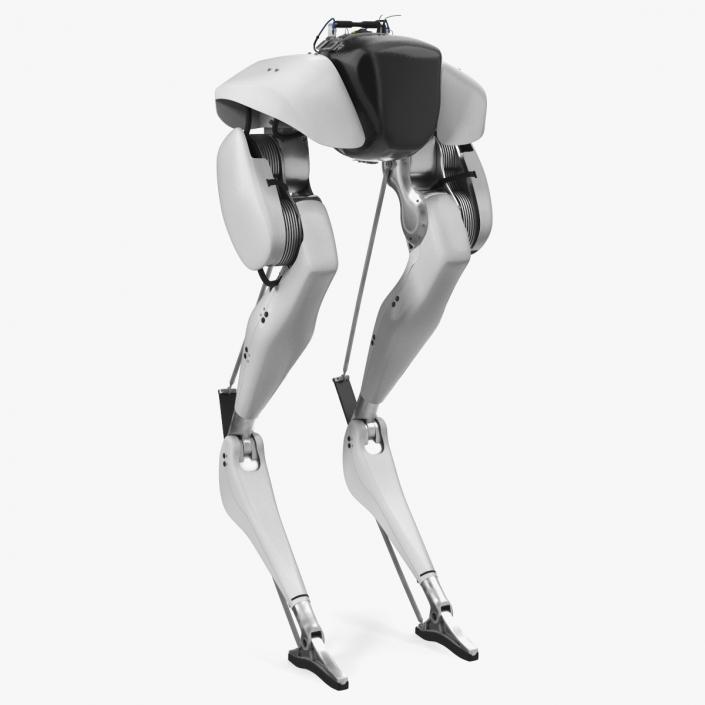 3D Bipedal Robot Grey model