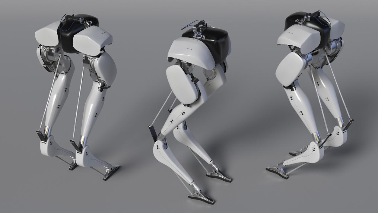 3D Bipedal Robot Grey model