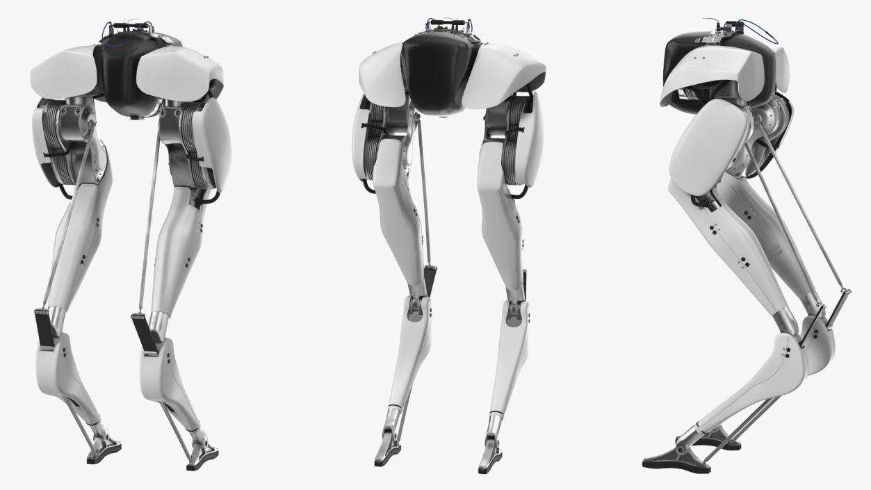 3D Bipedal Robot Grey model