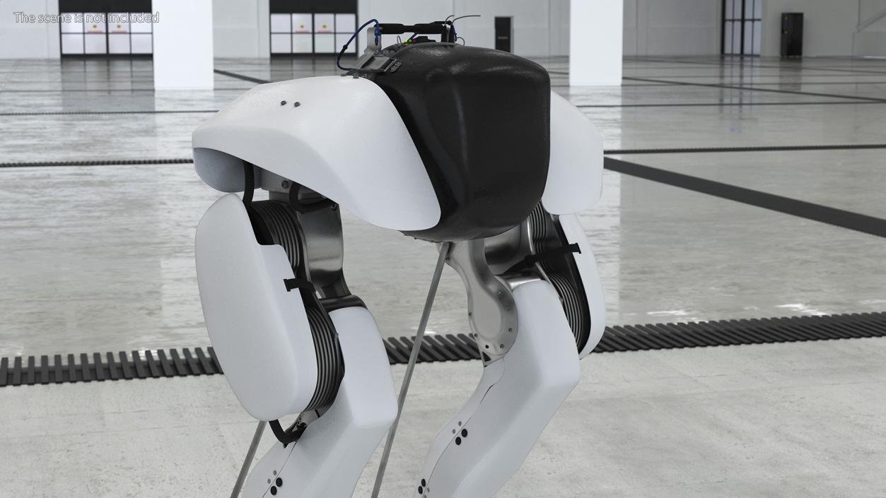 3D Bipedal Robot Grey model