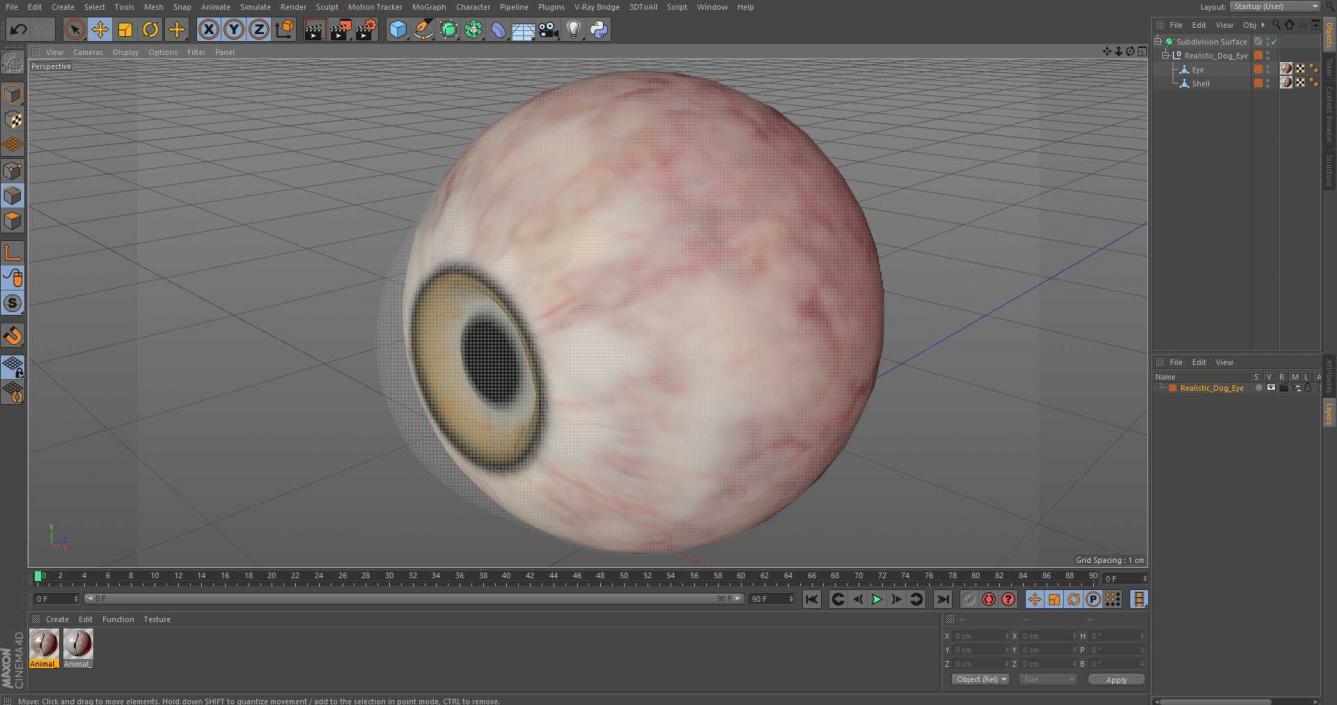 Realistic Dog Eye 3D