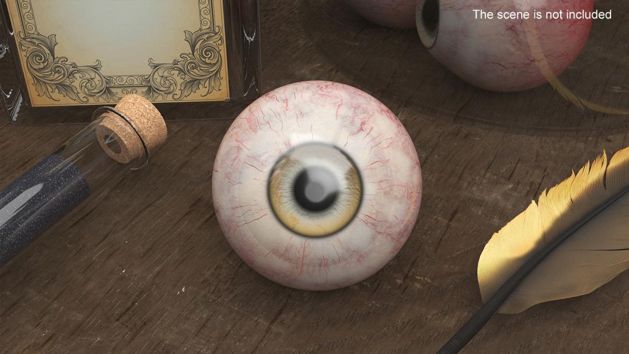 Realistic Dog Eye 3D