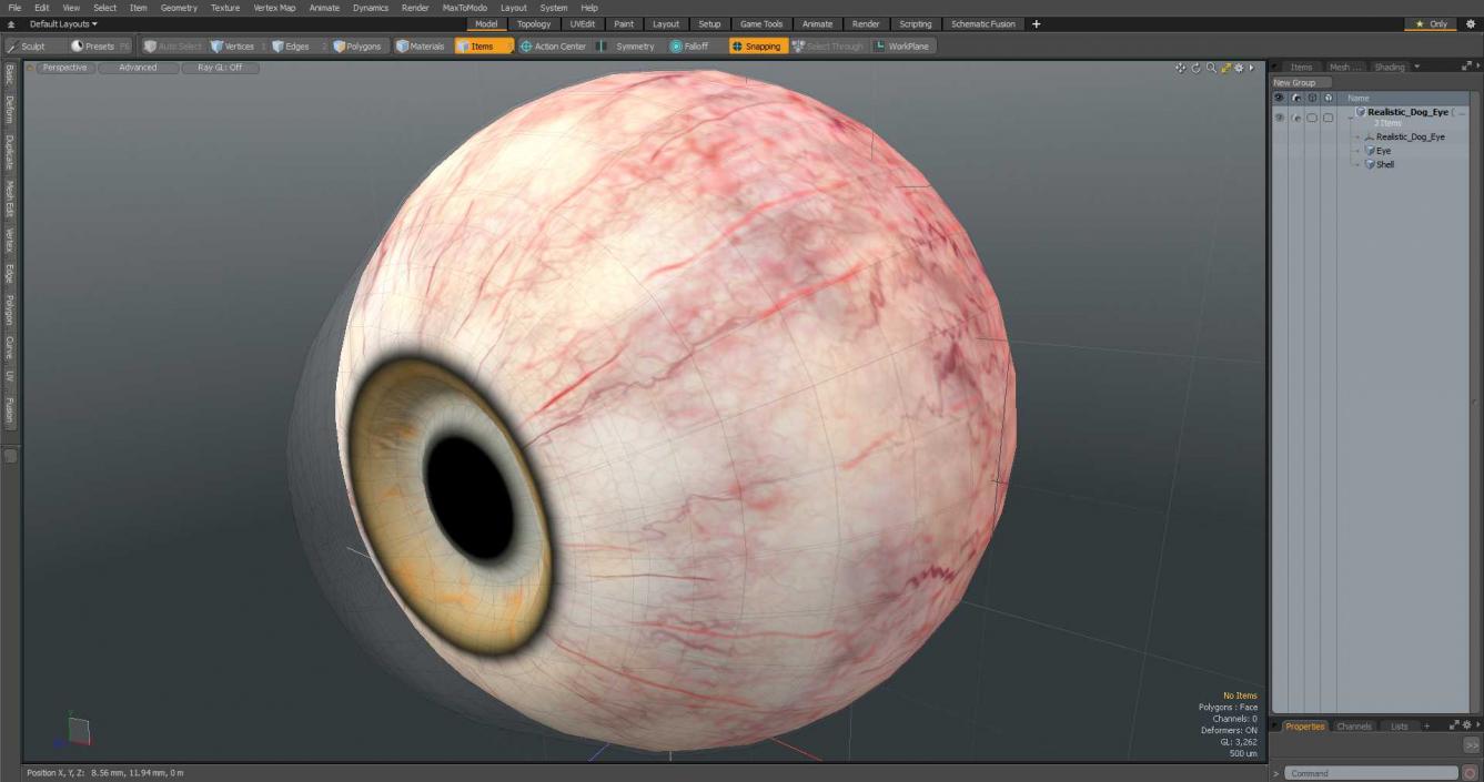 Realistic Dog Eye 3D