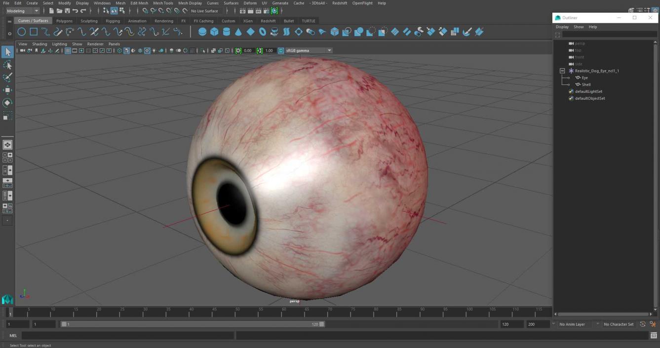 Realistic Dog Eye 3D