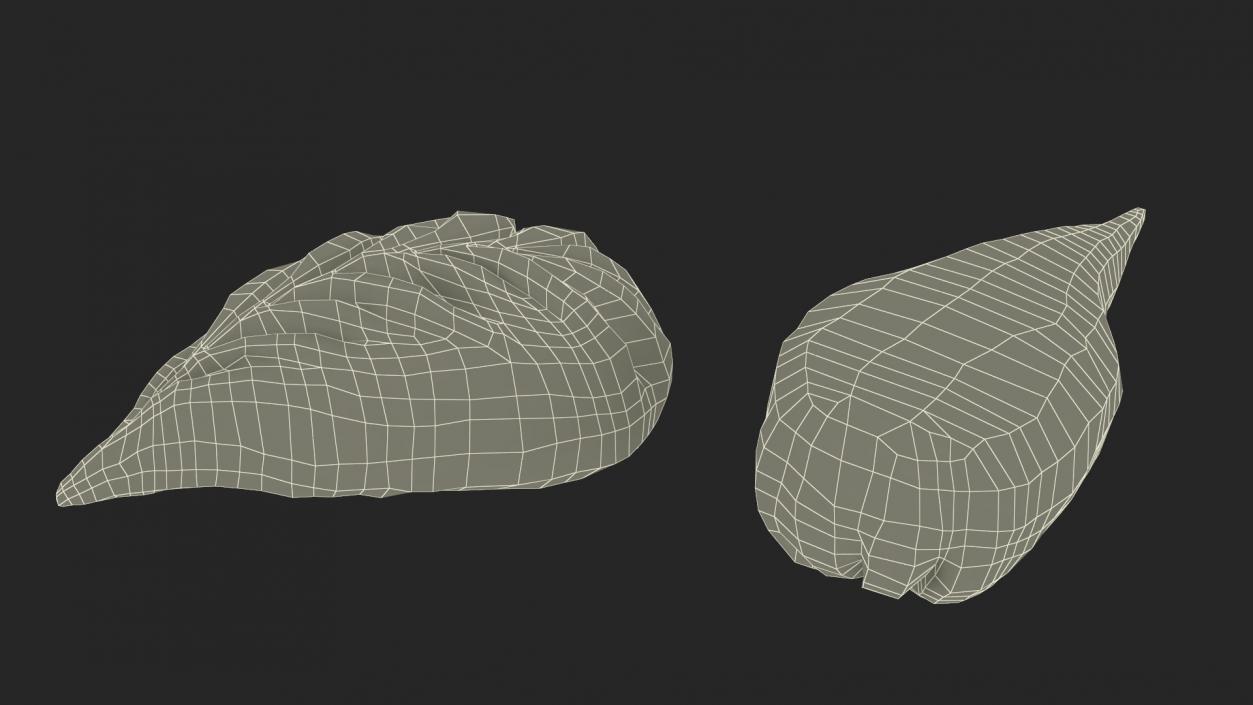 3D model Leaf Shaped Dumpling Cooked for 3D Print