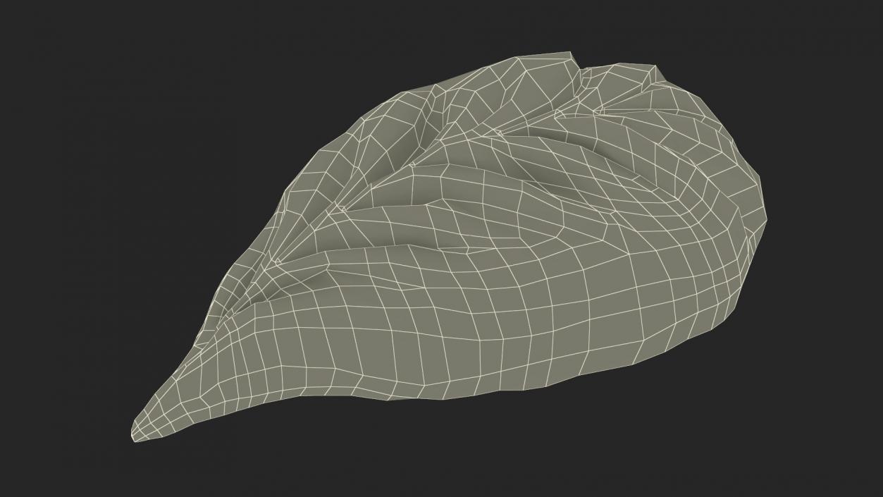 3D model Leaf Shaped Dumpling Cooked for 3D Print