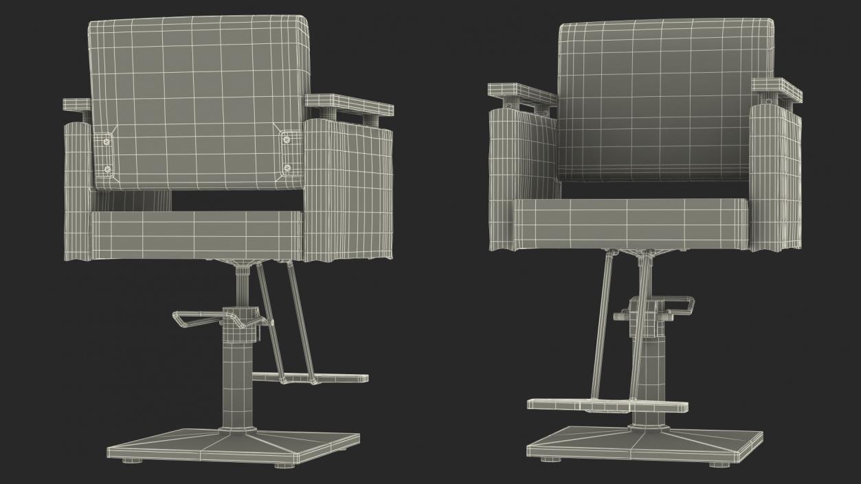 Beauty Salon Chair Red 3D