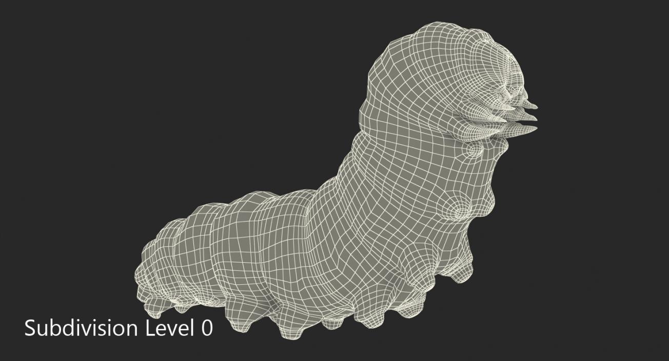 3D Papilio Machaon Caterpillar Creeps with Fur model