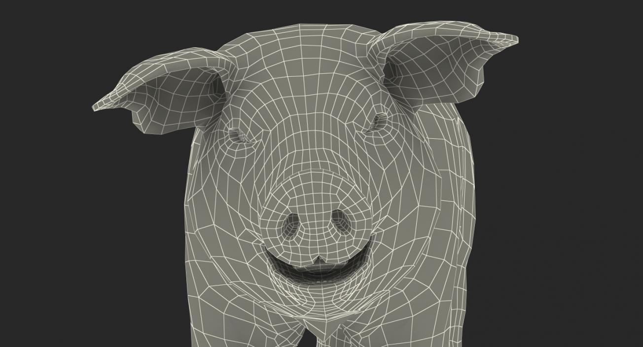 3D Pig Piglet Landrace with Fur Walking Pose