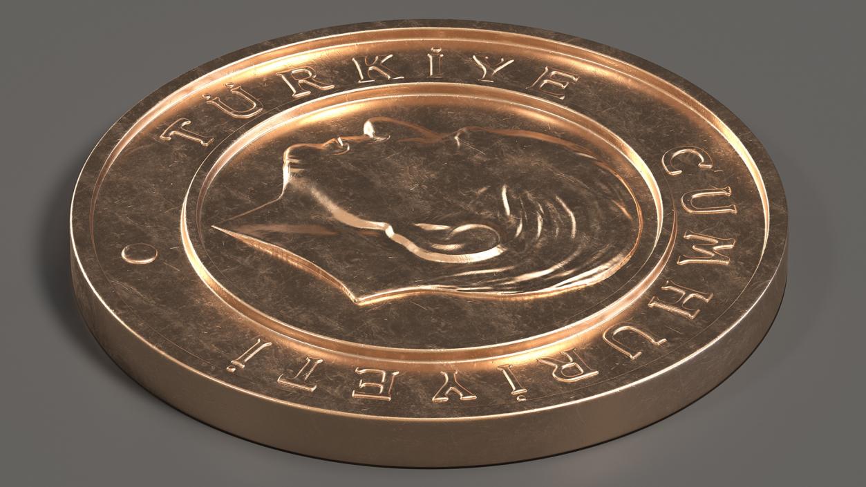 3D model Turkey Coins Collection 4