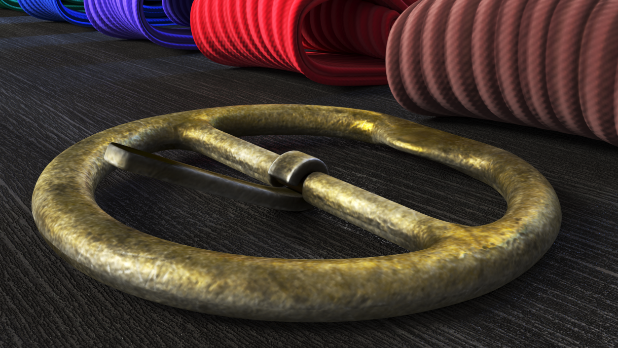 3D model Used Round Belt