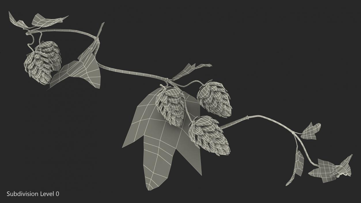 3D Hops Branch