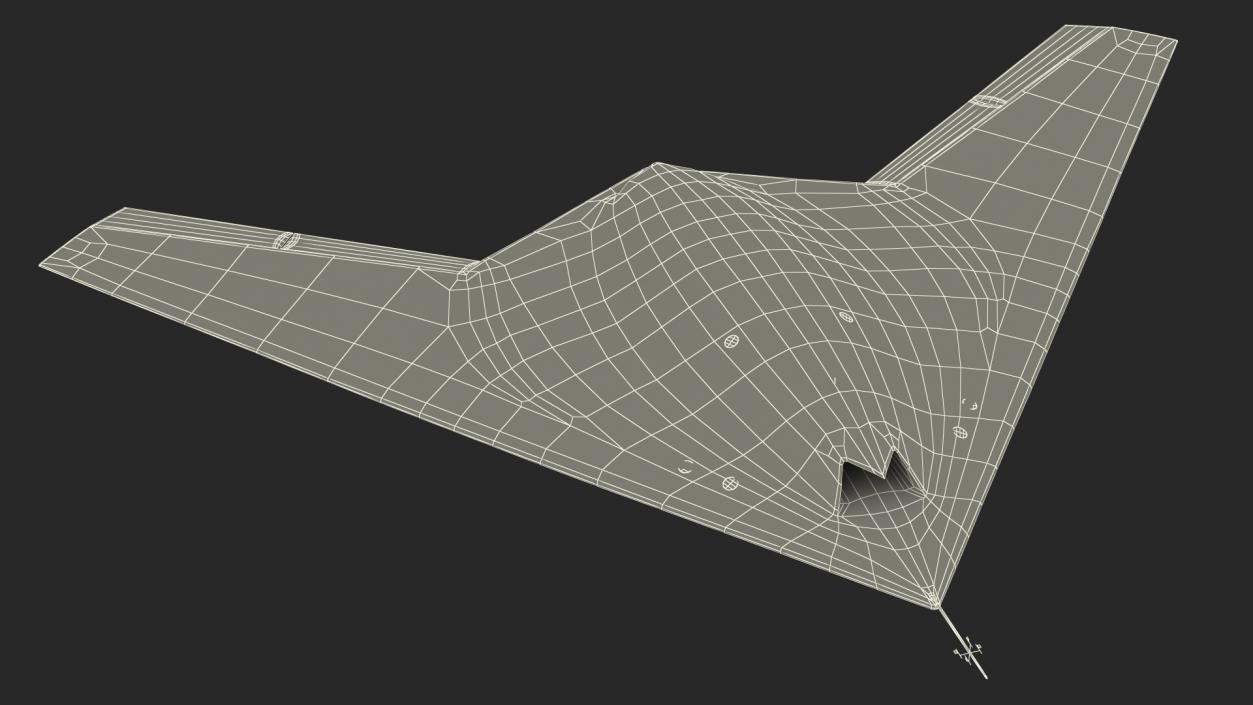 Stealth UCAV Flight 3D model