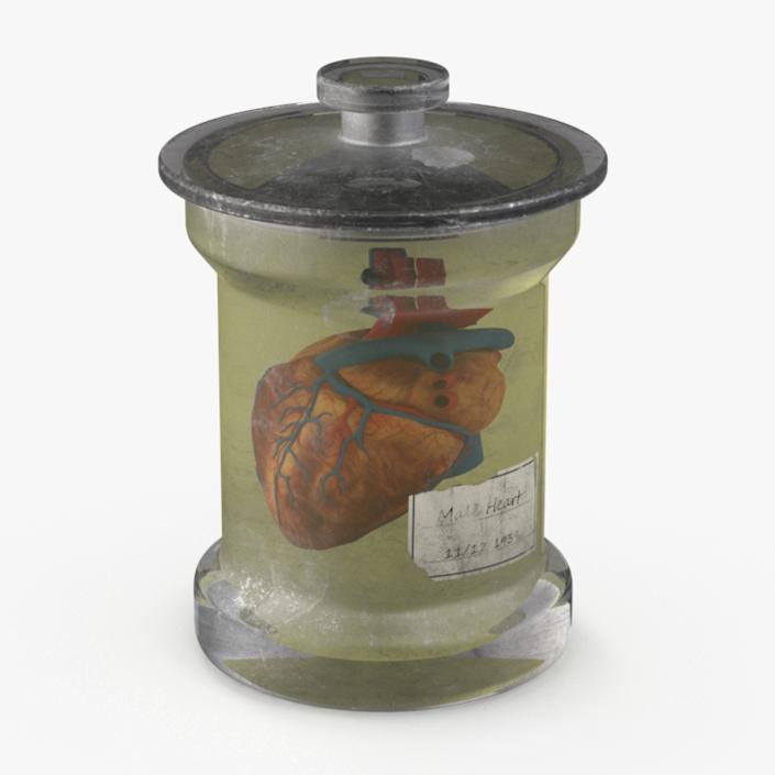 3D model Human Heart in Old Glass Jar 2