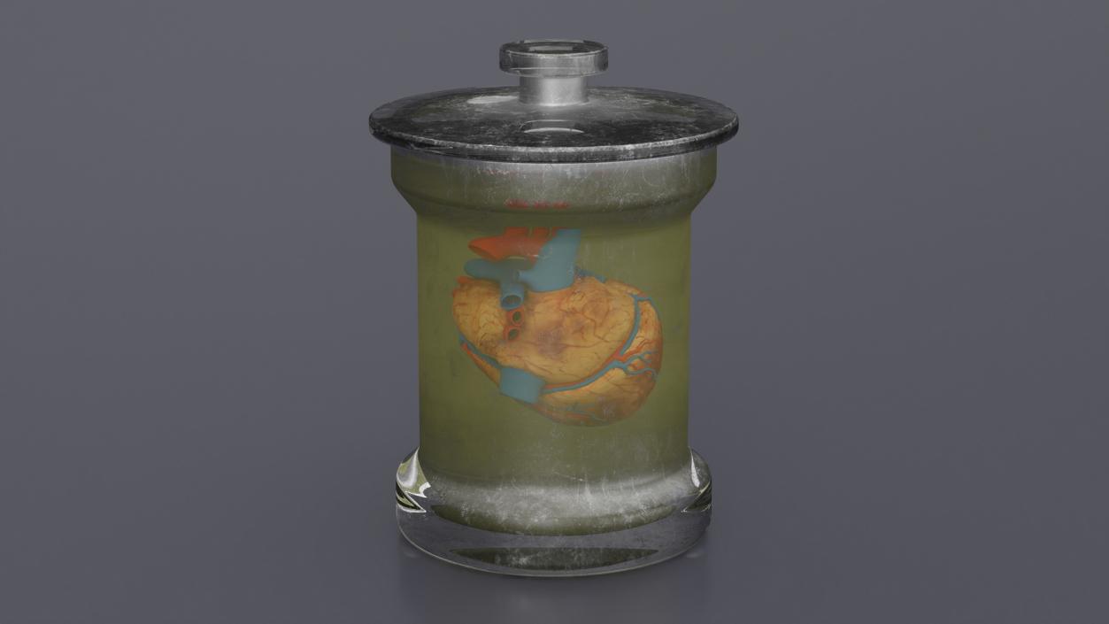 3D model Human Heart in Old Glass Jar 2