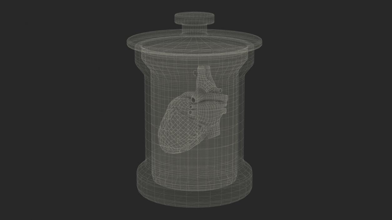 3D model Human Heart in Old Glass Jar 2