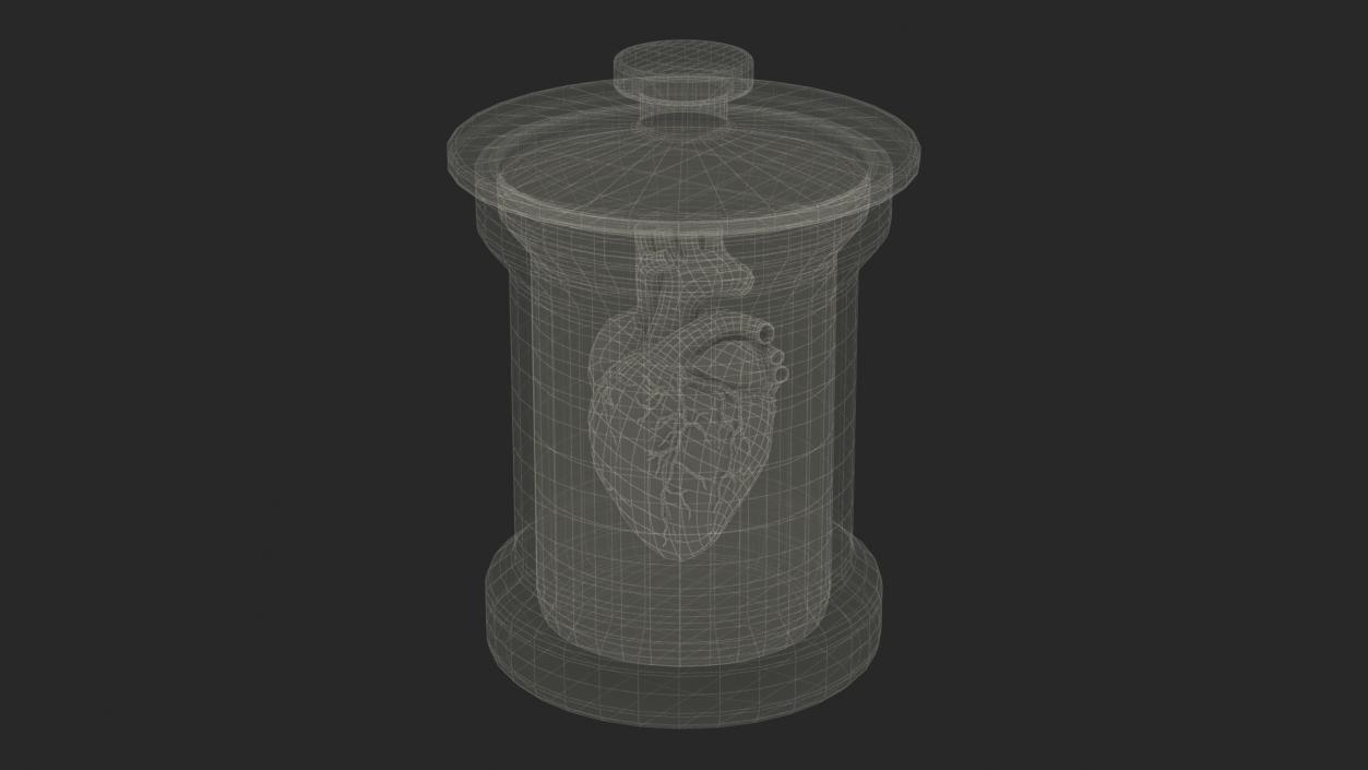 3D model Human Heart in Old Glass Jar 2