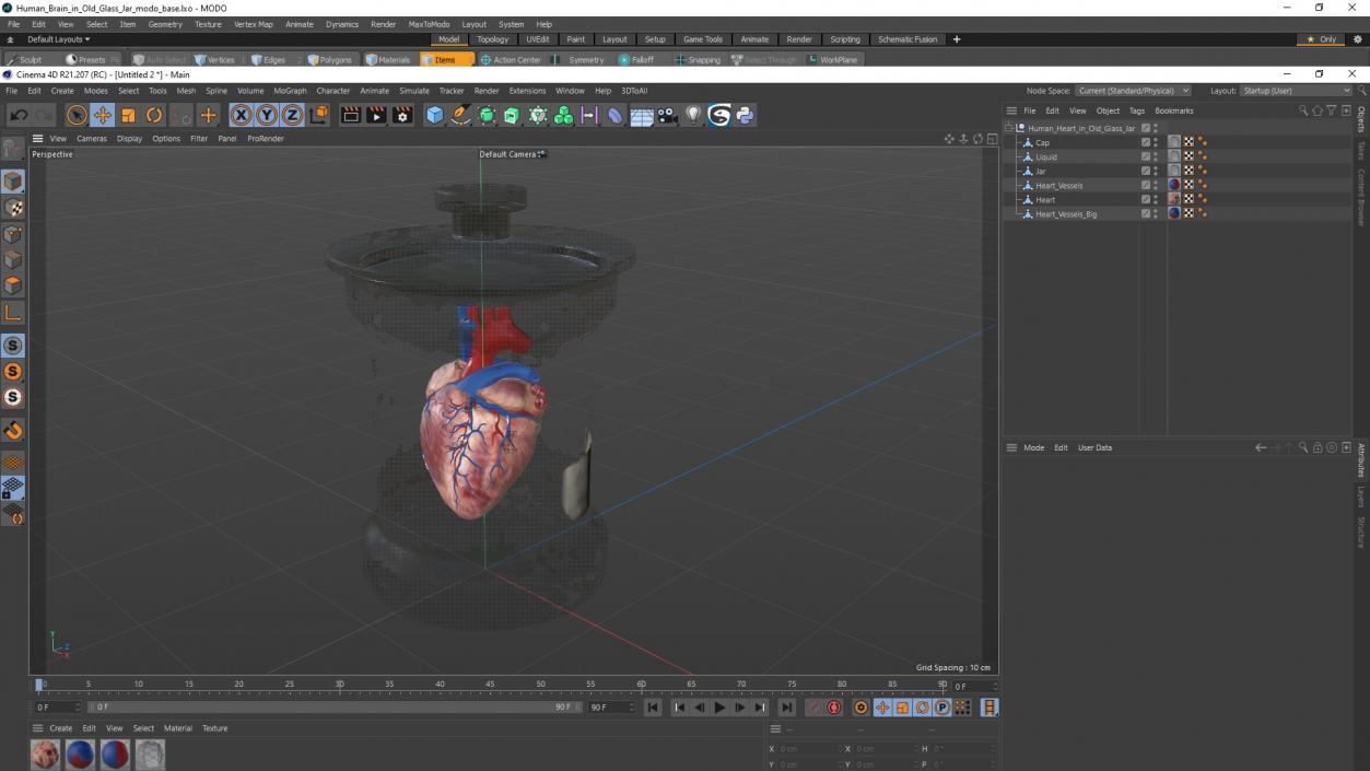 3D model Human Heart in Old Glass Jar 2