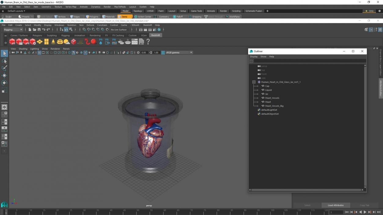 3D model Human Heart in Old Glass Jar 2