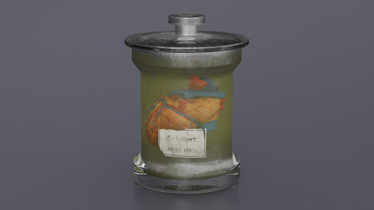 3D model Human Heart in Old Glass Jar 2