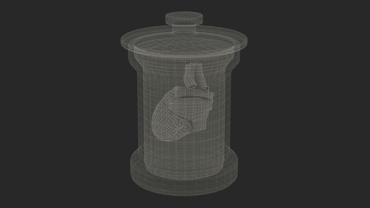 3D model Human Heart in Old Glass Jar 2