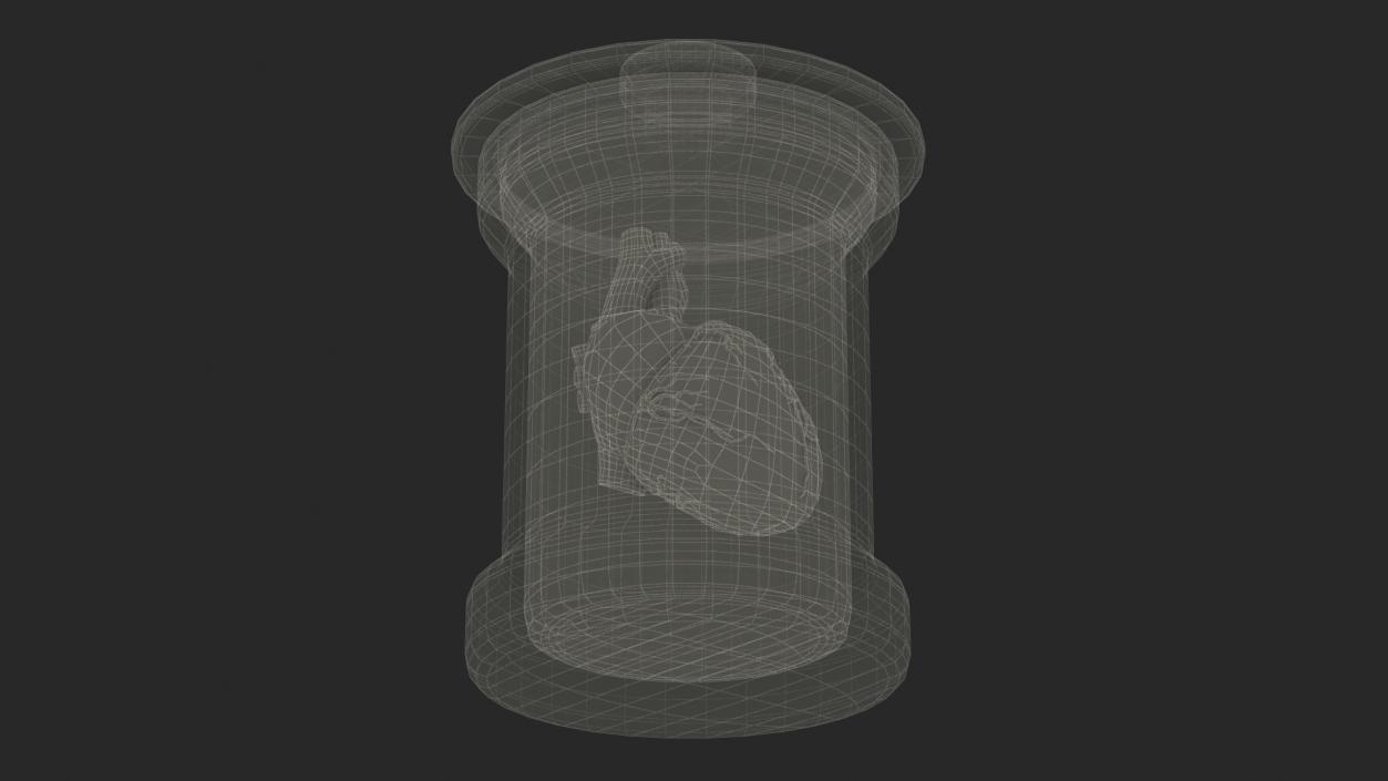 3D model Human Heart in Old Glass Jar 2