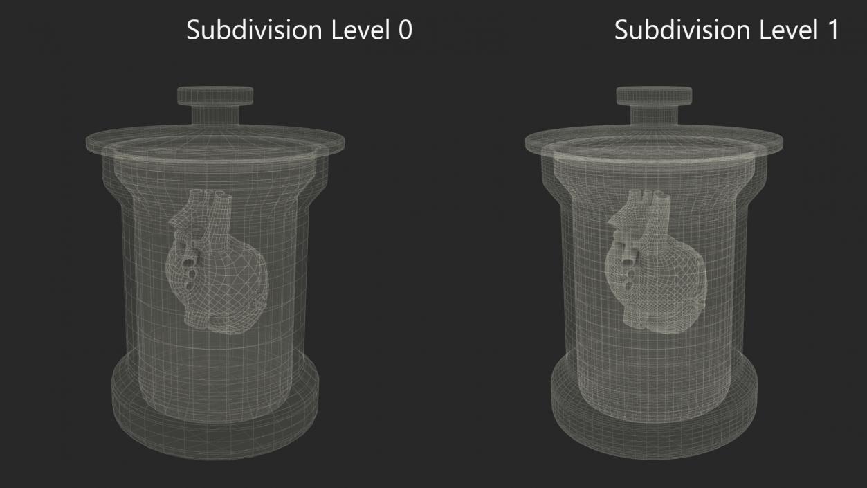 3D model Human Heart in Old Glass Jar 2