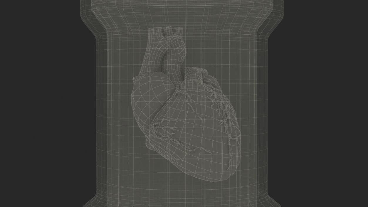 3D model Human Heart in Old Glass Jar 2