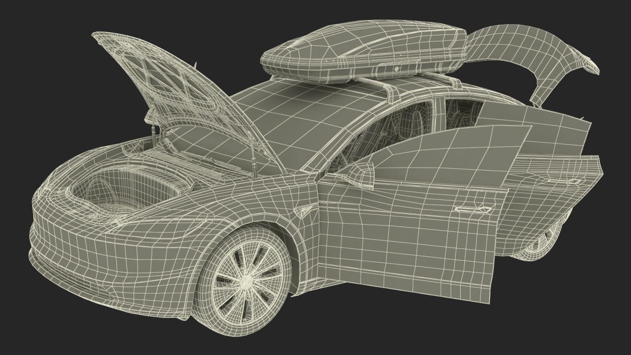 3D Tesla Model 3 2024 with Roofbox