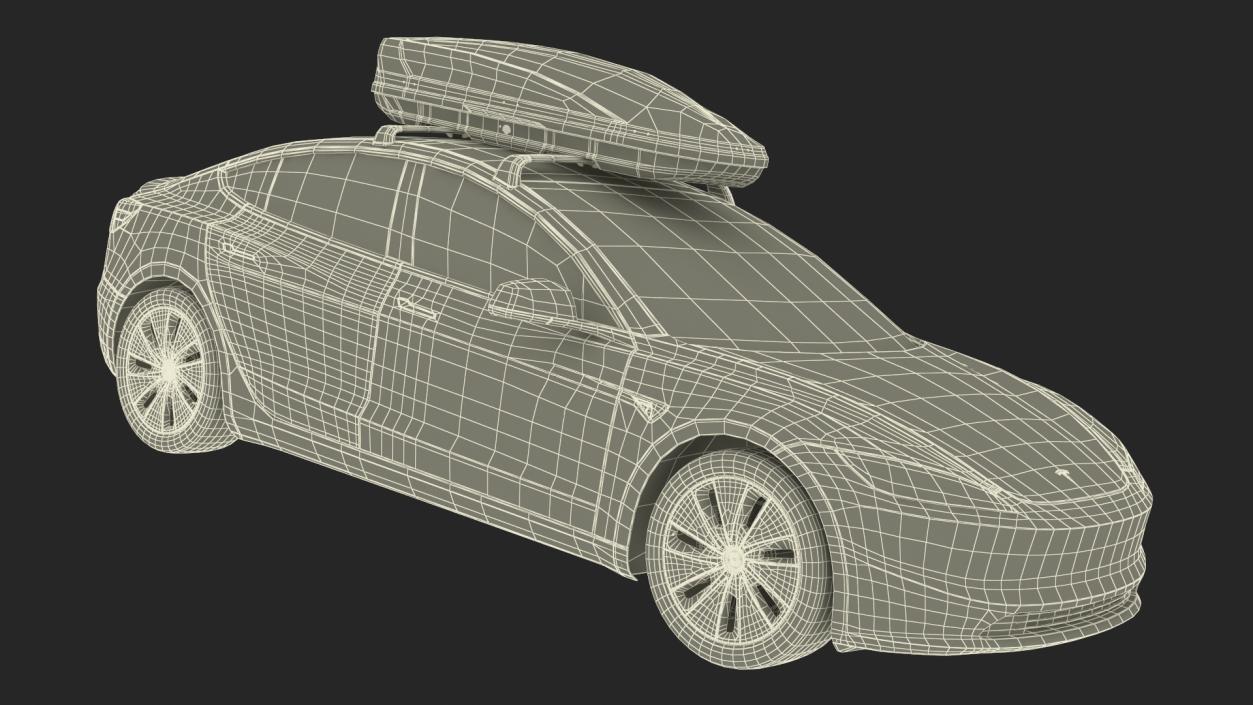 3D Tesla Model 3 2024 with Roofbox