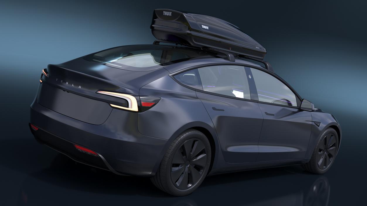 3D Tesla Model 3 2024 with Roofbox