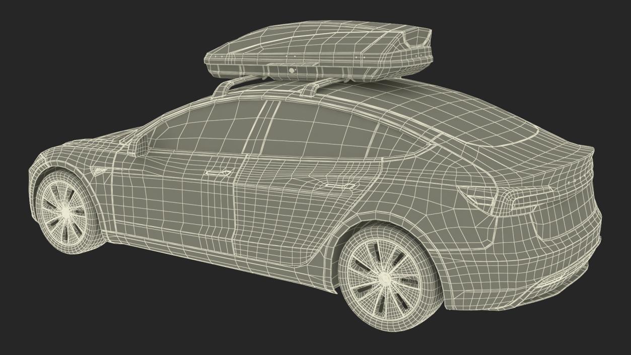 3D Tesla Model 3 2024 with Roofbox