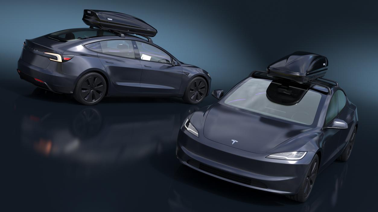 3D Tesla Model 3 2024 with Roofbox